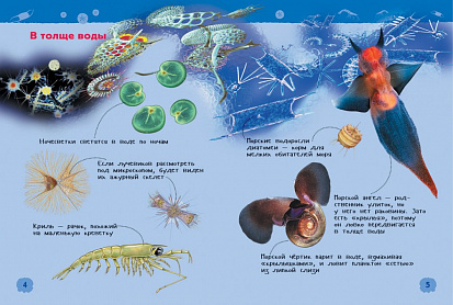 Фото Росмэн 32825 Подводный мир (Энциклопедия для детского сада)