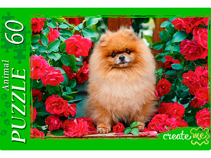 Фото товара П60-0436 ПАЗЛЫ 60 элементов. ЩЕНОК В ЦВЕТАХ № 1 (Арт. П60-0436)
