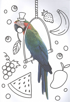 РАСКРАСКА С ФОТО. МИЛЫЕ ЗВЕРЯТА фото