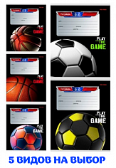 ПП-Т12-3927 Тетрадь 12л # СПОРТИВНЫЕ МЯЧИ