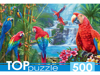 Фото товара ХТП500-6975 TOPpuzzle. ПАЗЛЫ 500 элементов. ЯРКИЕ ПОПУГАИ (Арт.ХТП500-6975)