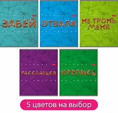 Тетрадь А5 48л. клетка, ХАТБЕР "ПЛАСТИЛИН", офсет 65 гр., мел.карт, скоба, тиснение 5 диз. (48Т5тВ1)