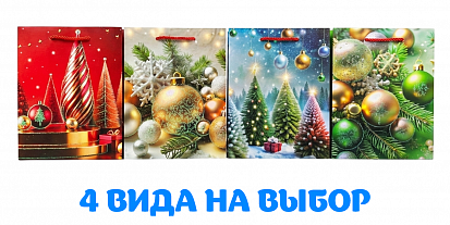 Пакет подарочный 18*23*10см ОМ300419Е фото