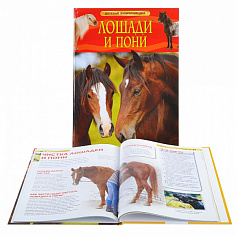 Росмэн 22220 Лошади и пони. Детская энциклопедия