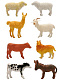 миниатюра 200661672 Игровой набор "Домашние животные" с картой обитания внутри (8 шт в наборе) (Zooграфия)
