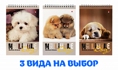 БВ-3-40-509 Блокнот А5 40л "СЛАДКИЕ ЩЕНЯТА" на гребне