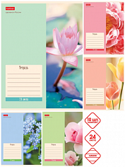 Тетрадь А5 24 л. линия ХАТБЕР "FLOWERS", скоба (24Т5В2) (074946)
