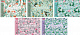 миниатюра Альбом для рисования ХАТБЕР А4 32 л. "FLORAL COLLECTION", перф на отрыв, спираль, 5 диз (32А4Всп) (0