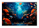 ПП-16-7490 Альбом 16л А4 РАЗНЫЕ РЫБКИ 1 скрепка фото