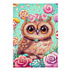 LORI Амк-021 Алмазная мозаика 15*20 детская (неполное заполнение) "Совушка" фото