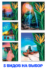 ПП-40-1022 Тетрадь 40л # TМ"Profit" ВДОХНОВЛЕНИЕ ПРИРОДЫ