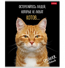 Х-40Т5В1(079697) Тетрадь 40л # Кот говорит! Hatber