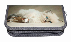 ПЧ-ПО-09МК Пенал двухсекц.большой 190/105 ПО-09 МИЛЫЙ КОТЕНОК