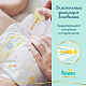 миниатюра PAMPERS Подгузники Premium Care Junior 5 (11+ кг) Джайнт Упаковка 42, 3шт. в коробке