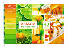 ПП-40-0222 Альбом 40л А4 ЗЕЛЕНОЕ И ОРАНЖЕВОЕ спираль