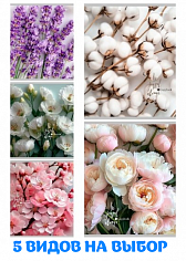 ПП-48-9753 Тетрадь 48л = НЕЖНЫЕ ЦВЕТЫ 21