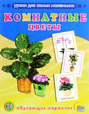 ОБУЧАЮЩИЕ КАРТОЧКИ. КОМНАТНЫЕ ЦВЕТЫ