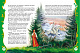 миниатюра Росмэн 15460 Русские волшебные сказки (ВЛС)