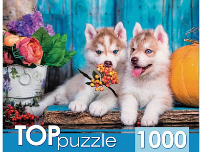 Фото товара ШТТП1000-7180 TOPpuzzle. ПАЗЛЫ 1000 элементов. ШТТП1000-7180 Два щенка хаски