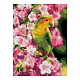 миниатюра LORI Ам-008 Алмазная мозаика 30*40 см (полное заполнение) "Весенний попугайчик"