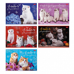 Альбом для рисования ХАТБЕР А4 24 л. "КОТОТЕРАПИЯ" скоба, 5 диз. (079723) (1/11/55)