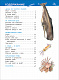 миниатюра Росмэн 32825 Подводный мир (Энциклопедия для детского сада)