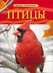 Росмэн 17328 Птицы. Детская энциклопедия