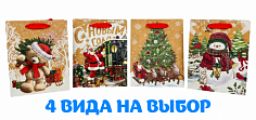 Пакет подарочный 18*23*10см ОМ300367Е