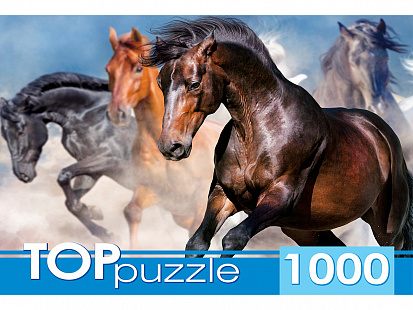 Фото товара ГИТП1000-2147 TOPpuzzle. ПАЗЛЫ 1000 элементов. ГИТП1000-2147 Табун скакунов
