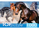миниатюра ГИТП1000-2147 TOPpuzzle. ПАЗЛЫ 1000 элементов. ГИТП1000-2147 Табун скакунов