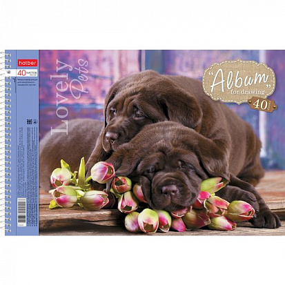 004142 Альбом для рисования ХАТБЕР А4 24 листов "ЛЮБИМЦЫ", перфорация на отрыв, гребень (5/35) (24А4 фото