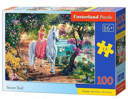 Фото товара Пазлы B9-111114 Тайные тропы, 100 деталей, Castor Land