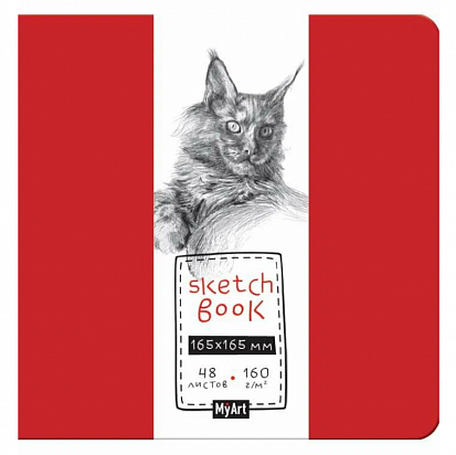 MyArt. СКЕТЧБУК 165х165. МЕЙН-КУН фото