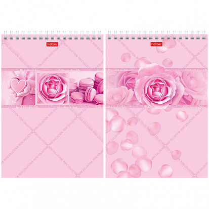 Фото Блокнот ХАТБЕР А5 96 л. клетка "ROSE" тонир.розовый, гребень (071137) (96Б5лВ1гр) (4/48)