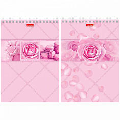 Блокнот ХАТБЕР А5 96 л. клетка "ROSE" тонир.розовый, гребень (071137) (96Б5лВ1гр) (4/48)