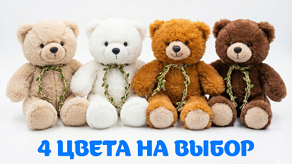 Фото товара Мягкая игрушка Мишка 5142 25см