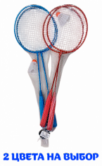 Бадминтон в сетке 526