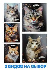 ПП-48-3916 Тетрадь 48л # КАРТИНЫ С КОТИКАМИ, твин-лак