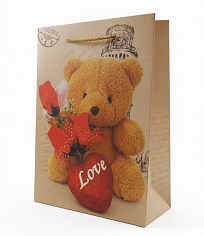 Пакет подарочный 18*23*10см Yc-875-2 S