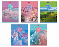 Тетрадь А5 80 л. линия ХАТБЕР "COLOUR", скоба (80Т5В2) (064477)