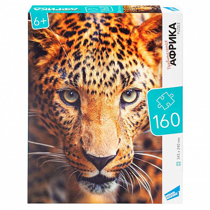 Фото товара RI1602 Игра детская настольная "160 Африка"