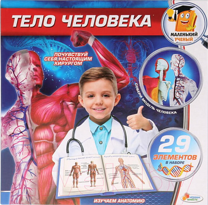 Фото товара KY-10002 ИГРУШКА ОПЫТЫ "ИГРАЕМ ВМЕСТЕ": ТЕЛО ЧЕЛОВЕКА В РУСС. КОР.