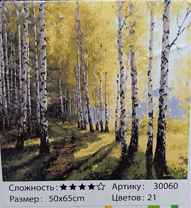 Фото товара БиП 30060 Картина по номерам 50*65
