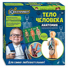 A365-H24041-R Игрушка опыты тело человека IQ Эксперимент