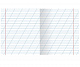 миниатюра Тетрадь А5 12 л. кос.линия ХАТБЕР "ПАНДА-ТЕТРАДЬ" класс А, 80г/м2, скоба, круг.углы(12Т5А6) (065620)