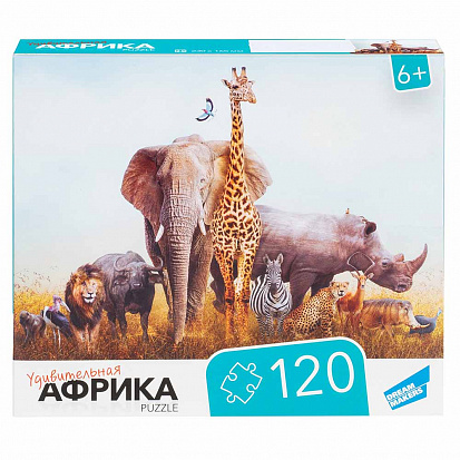 RI1201 Игра детская настольная "120 Африка" фото