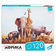 RI1201 Игра детская настольная "120 Африка" фото