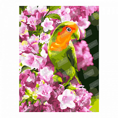 LORI Кпн-014 Картина по номерам на картоне 28,5*38 см "Весенний попугайчик"