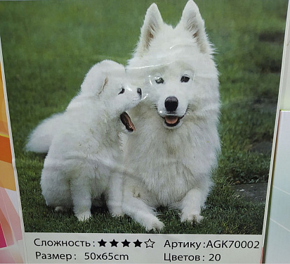 Фото товара БиП 70002 Алмазная живопись 50*65