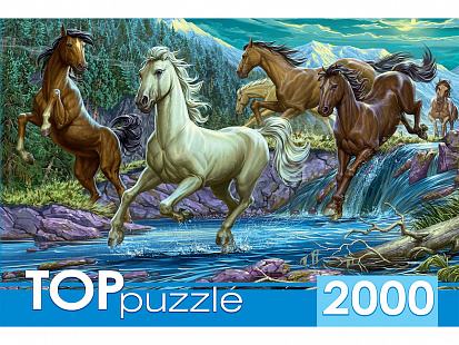 Фото товара ХТП2000-1594 TOPpuzzle. ПАЗЛЫ 2000 элементов. ХТП2000-1594 Ночной табун лошадей